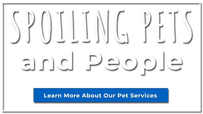 Spoiling Pets and People