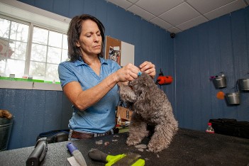 karen grooming karen grooming