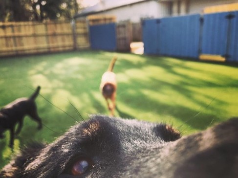 Hey, Whatcha Doin There? 